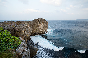 Image showing Cliff above the sea