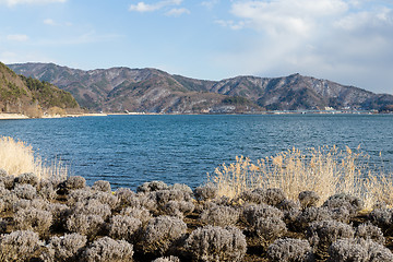 Image showing Lake Kawaguchi