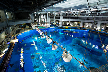 Image showing Water tank in Aquarium