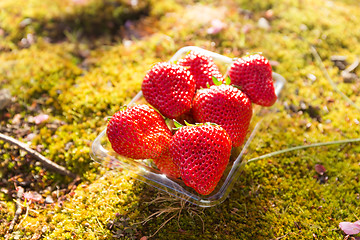 Image showing Fresh strawberries in a plastic package