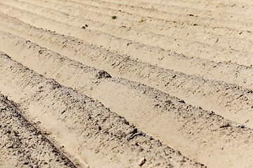 Image showing plowed for crop land  