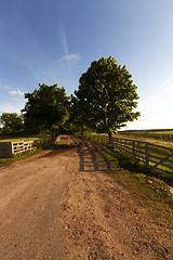 Image showing rural road ,  fence