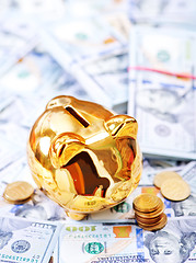 Image showing Piggy bank and money