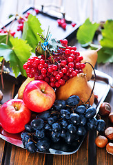 Image showing autumn fruits 