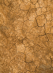 Image showing Cracked of mud 