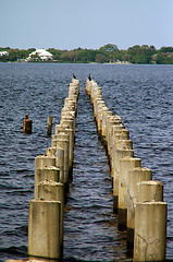 Image showing abandoned dock on Caloosahatchee River ft myers florida