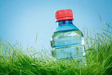 Image showing Water bottle on the grass