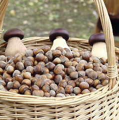 Image showing Hazelnuts  in basket