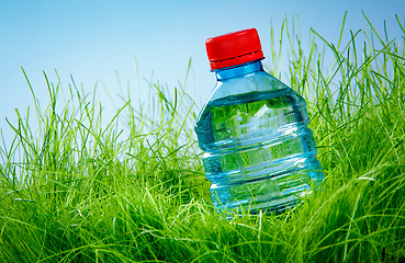 Image showing Water bottle on the grass