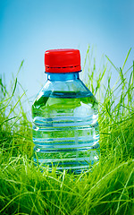 Image showing Water bottle on the grass