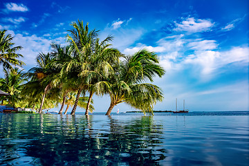 Image showing Maldives beach