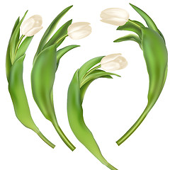 Image showing Tulips decorative background. EPS 10