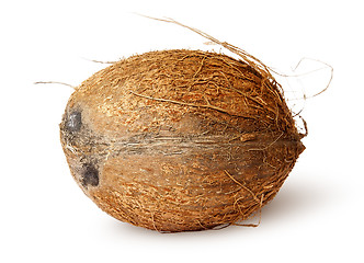 Image showing Coconut lying horizontally