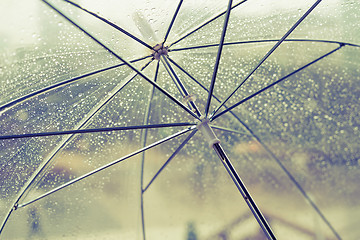 Image showing Wet transparent umbrella 