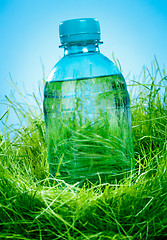 Image showing Water bottle on the grass