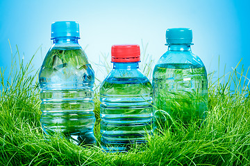 Image showing Water bottle on the grass