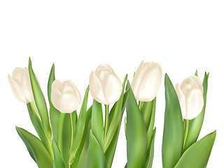 Image showing Isolated tulip frame. EPS 10