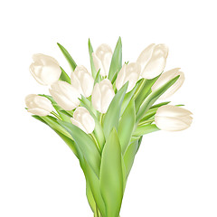 Image showing Tulips decorative background. EPS 10