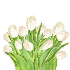 Image showing Tulips decorative background. EPS 10