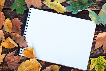 Image showing autumn background