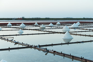 Image showing Mass of salt in the salt sea salt farm