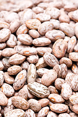 Image showing pinto beans