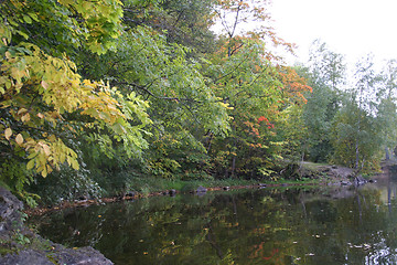 Image showing Autum colors