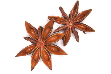 Image showing anise