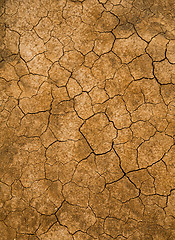 Image showing Texture cracked earth