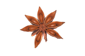 Image showing anise star