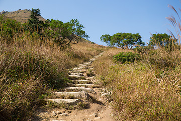 Image showing Walkway going up to the peak