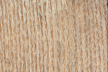Image showing Wooden texture, empty wood background