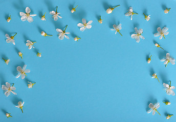 Image showing spring cherry flowers on blue background