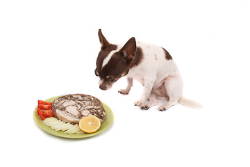 Image showing chihuahua and dinner