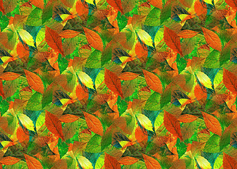 Image showing Leaves as Seamless