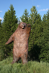 Image showing Grizzly bear