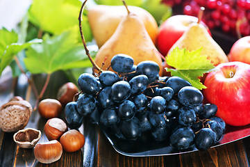 Image showing autumn fruits 