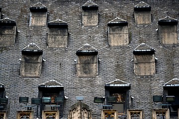 Image showing Many windows on the roof