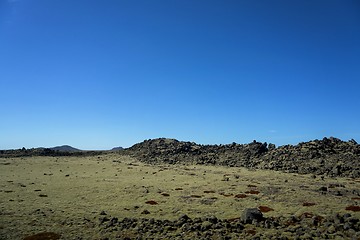 Image showing Iceland lava field covered with green moss