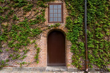 Image showing Unique door closeup