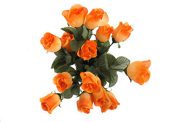 Image showing roses