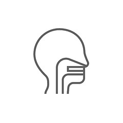 Image showing Human head with ear, nose, throat system line icon.