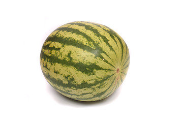 Image showing melon