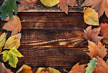 Image showing autumn background