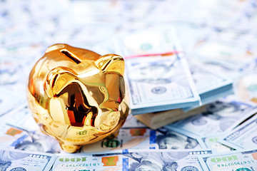 Image showing Piggy bank and money