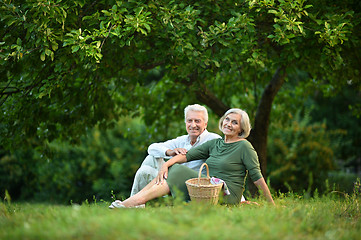 Image showing Amusing old couple  in summer park