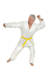 Image showing Senior man in karate pose