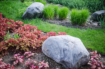 Image showing Decorative flower bed in a garden with rocks and plants, close-u