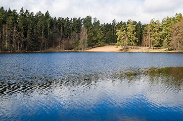 Image showing Spring landscape at wood lake