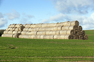 Image showing Photo agriculture, Europe  